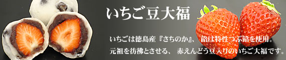 ���������啟